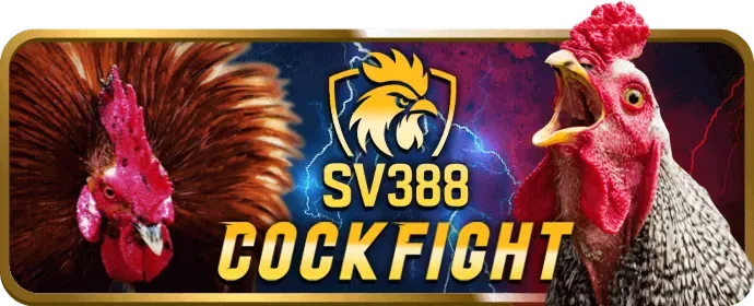 Chuyên gia 789win hướng dẫn
