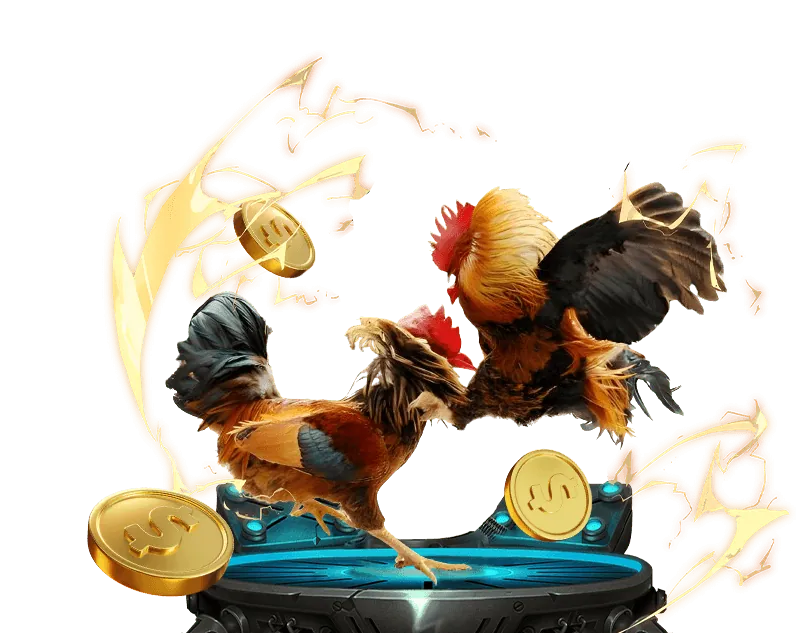 Đá Gà Thomo mcw77 casinomcw-vn